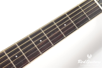 APX-600FM - Amber